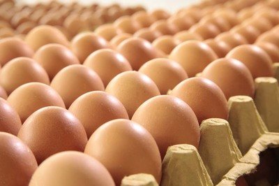 亳州鸡蛋检测价格,鸡蛋检测机构,鸡蛋检测项目,鸡蛋常规检测